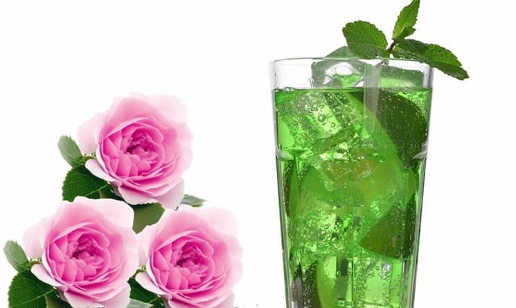 خرید شربت گلاب و نعناع + قیمت فروش استثنایی